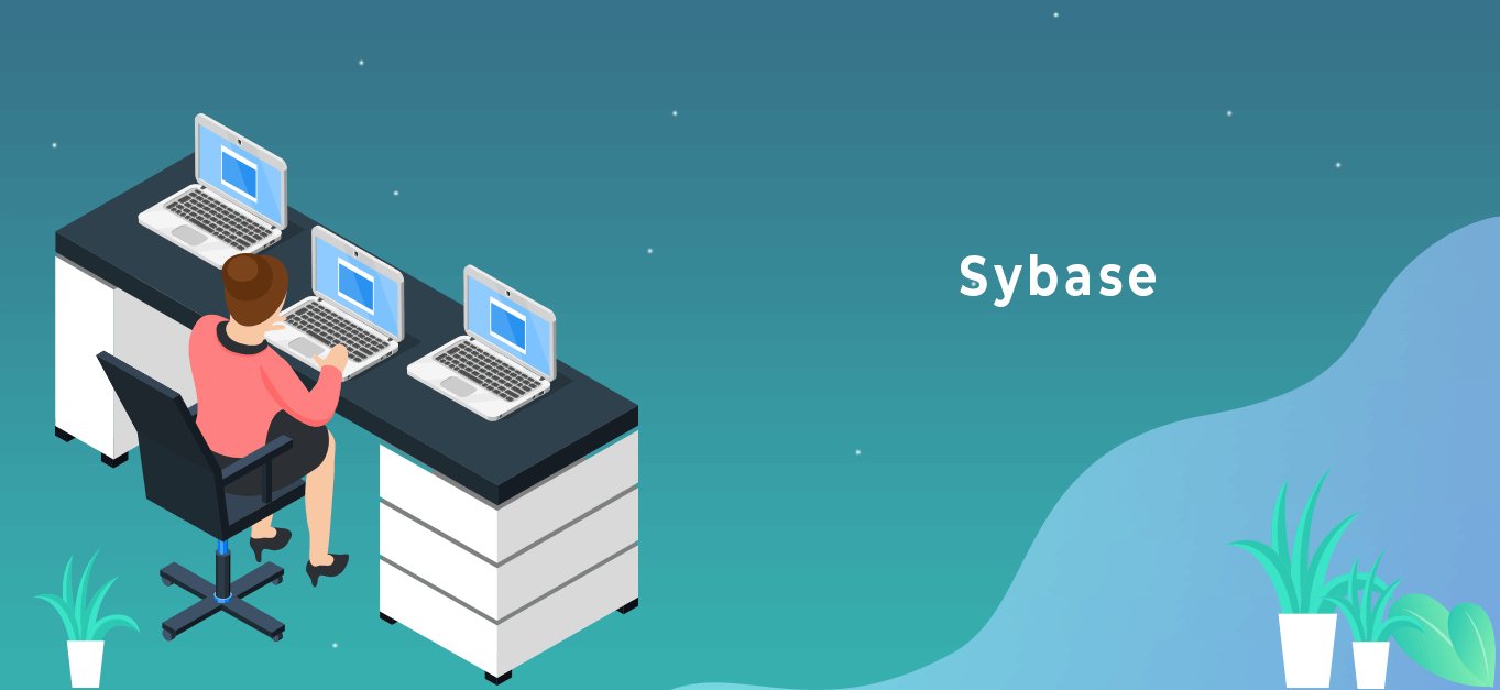 Sybase Database Web Development Services